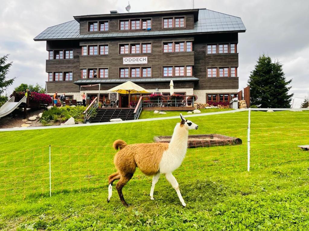 Hotel Oddech Praiano Dış mekan fotoğraf