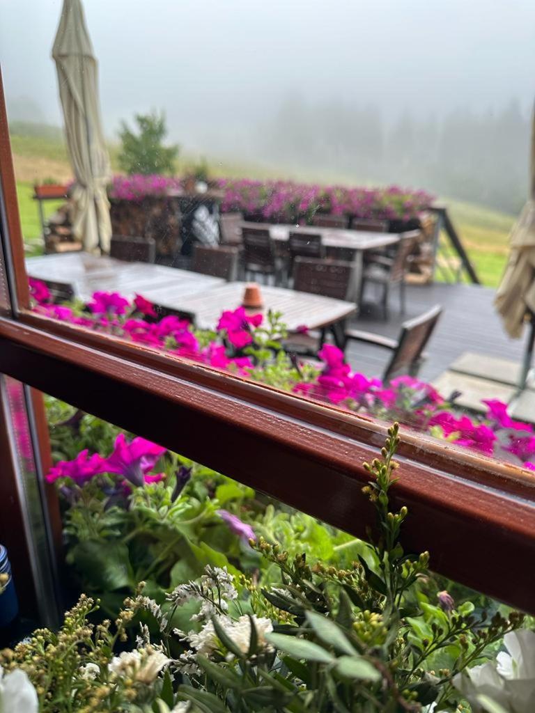 Hotel Oddech Praiano Dış mekan fotoğraf