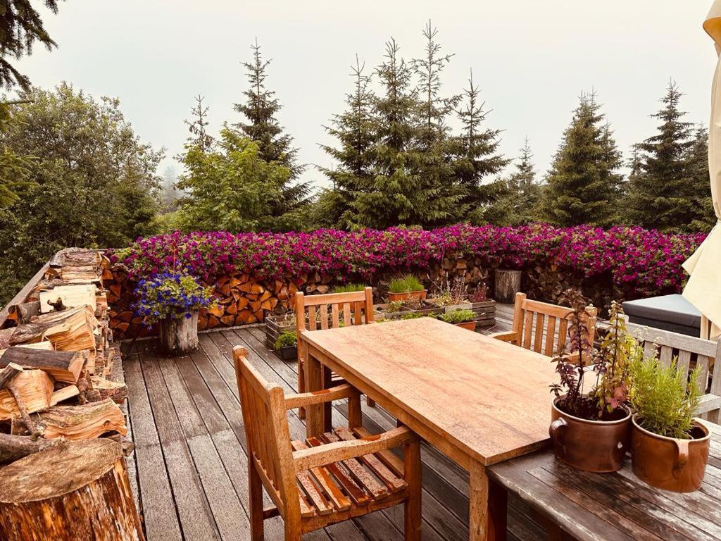 Hotel Oddech Praiano Dış mekan fotoğraf