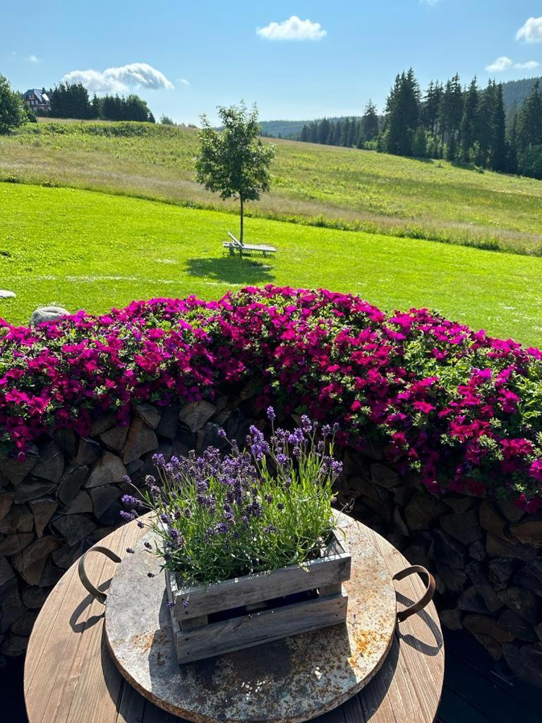 Hotel Oddech Praiano Dış mekan fotoğraf