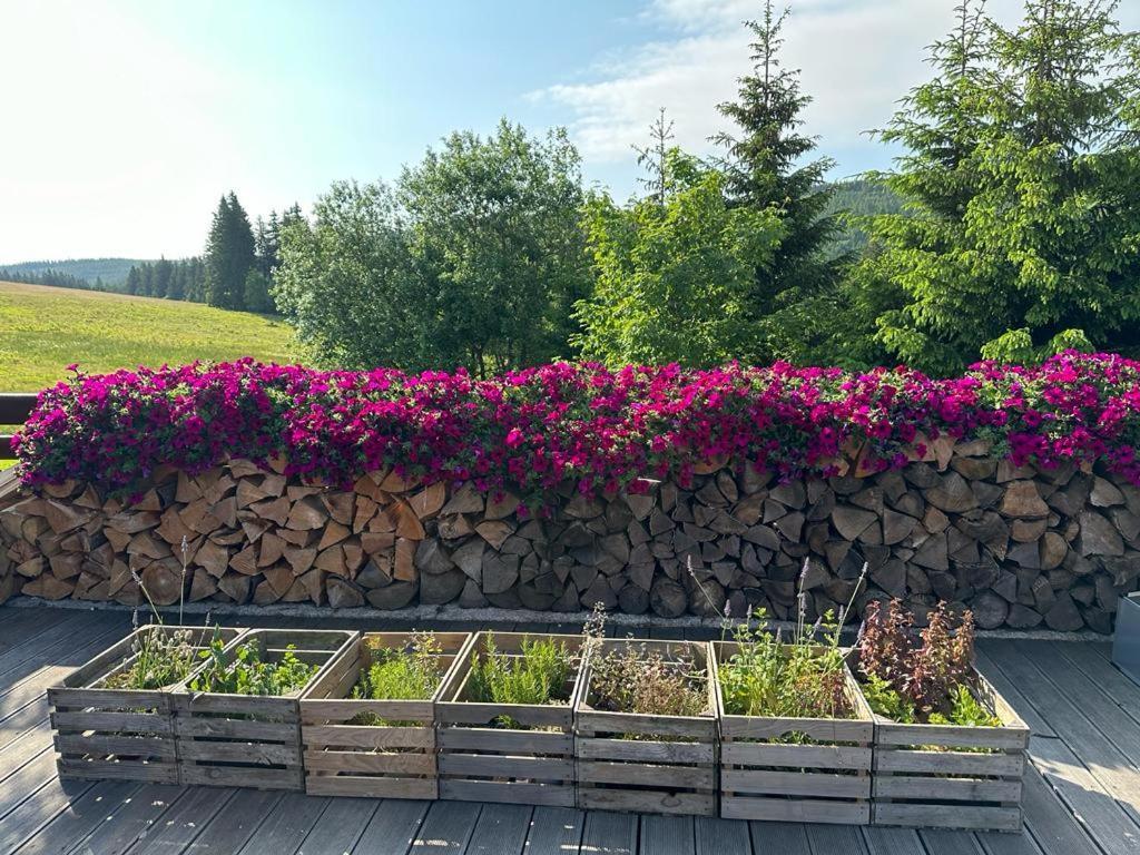 Hotel Oddech Praiano Dış mekan fotoğraf